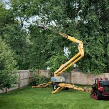 Best Stump Grinding and Removal  in Kankakee, IL